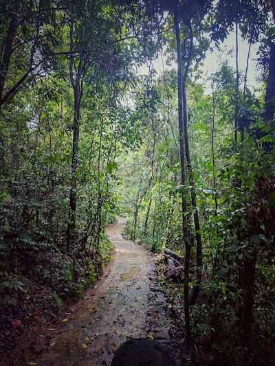 Photos of Thundola Aranya Senasanaya