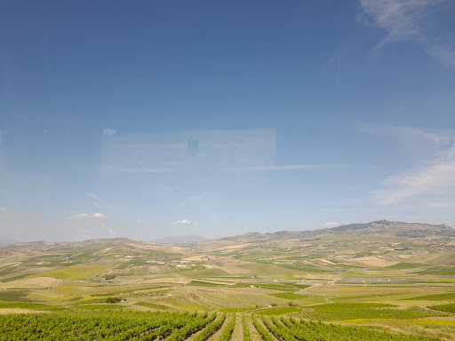 Colline del Belice - Thumbnail