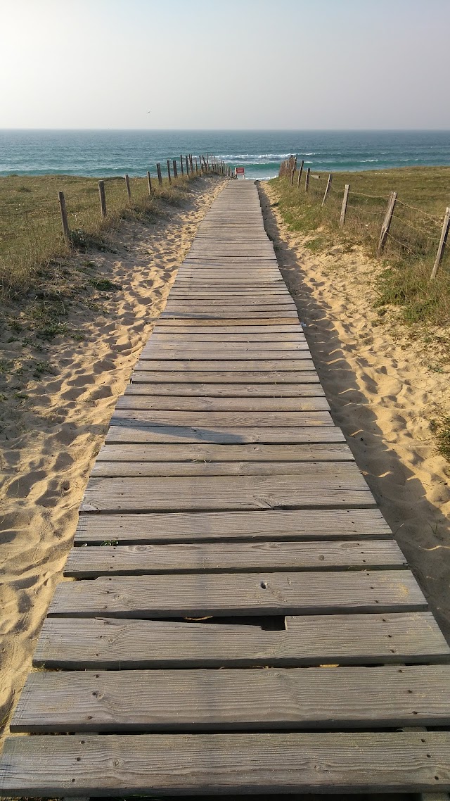 Plage de la Gravière