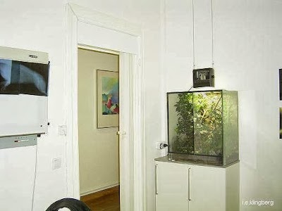 Photos of Tierarztpraxis Klingberg