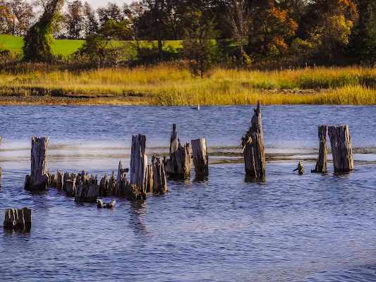 Robinson's Boatyard