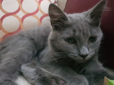 Photos of Pili's Vet | Cl&iacute;nica M&eacute;dica de Mascotas