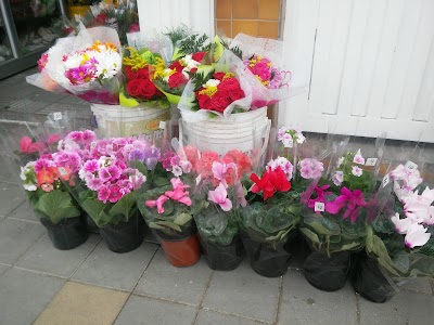 Photos of Floristeria Ke - Nices Eden