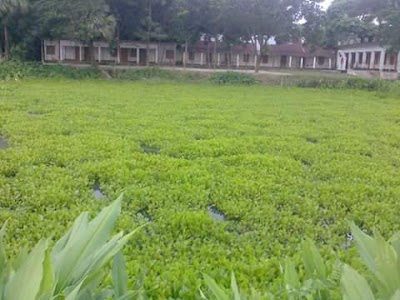 Photos of Mid Kaichuty