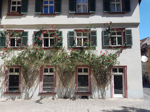 Ringelrum zwo Gallery - Germany