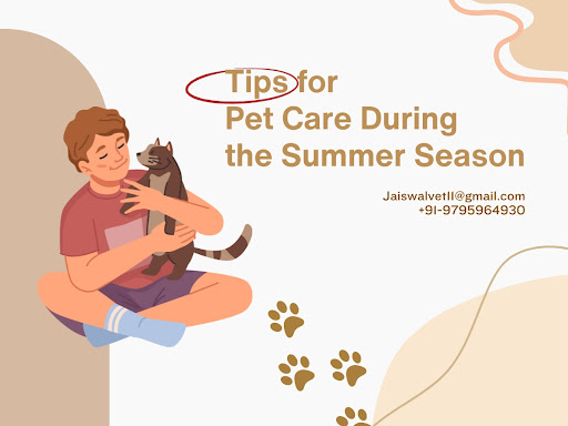 Tips for Pet Care During the Summer Season post image