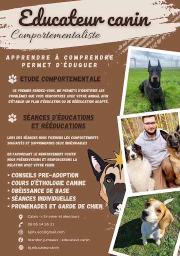 Éducateur canin Jumeaux brandon - Thumbnail