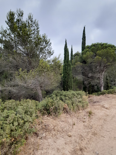 Le Chemin des Écoliers (Liaison Lézignan-Corbières/Escales) - Thumbnail