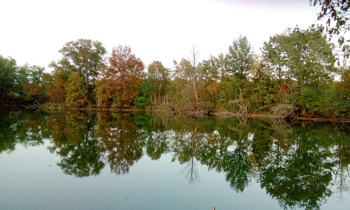Sisters of Providence of Saint Mary-of-the-Woods, Indiana Gallery - United States