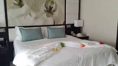 Photos of Royalton Punta Cana Resort & Casino