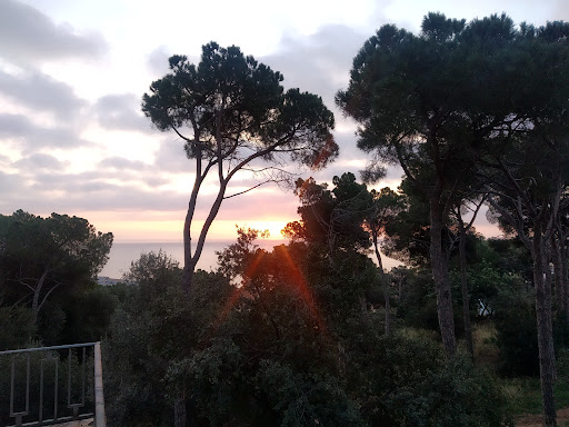 Parc can santinyà - Thumbnail