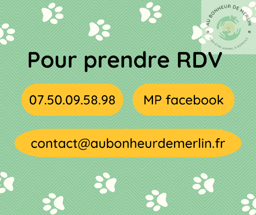 Au Bonheur de Merlin - Thumbnail