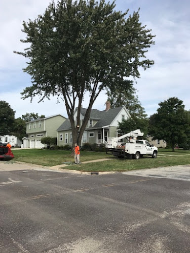 Embark Tree Removal – photo 1 of 3