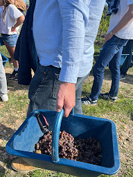 Photo n°16 de Agence La Vie Bonne - Voyages & évènements culturels à Bordeaux (Voyagiste)