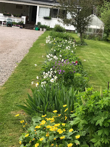 Hagfors Hagälven