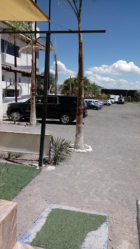 Vida Nueva Para El Mundo Queretaro - Thumbnail