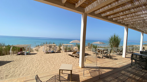 Harundo Mare - Visual