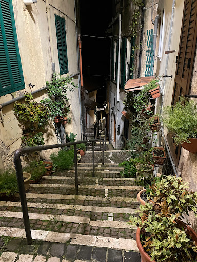 Du'Scalini - Visual