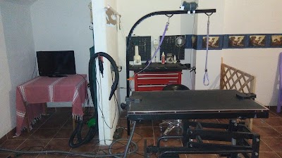 Photos of Consultorio Veterinario Y Estetica Canina Fabela's Kennel