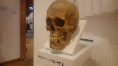 Photos of Estonian Health Care Museum