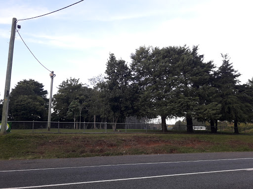 Springbrook State School - Visual