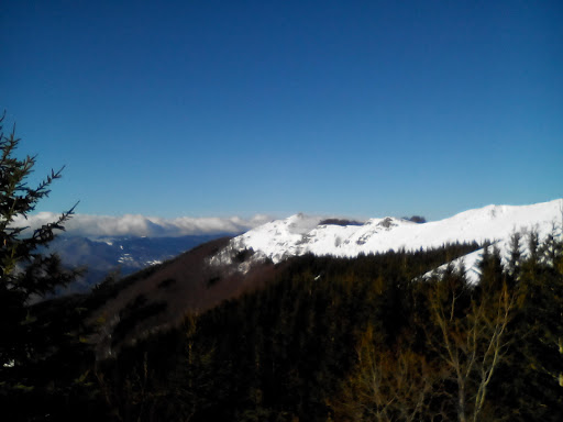 Circonvallazione - Visual