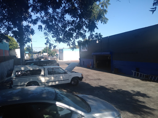Rigo's Auto Clinic