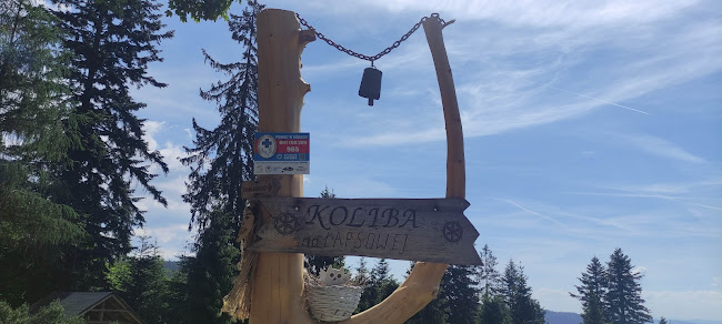 Comentarii opinii despre Koliba na Łapsowej Polanie