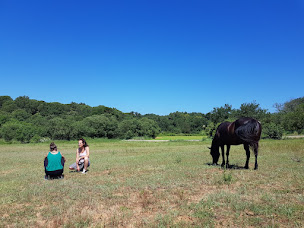 Photo n°2 de Sabine Champetier - Se libérer du poids du passé / Thérapie psychocorporelle & mediation équine à Vagnas (Coach de vie)
