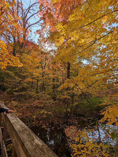 Millar Side Trail - Visual