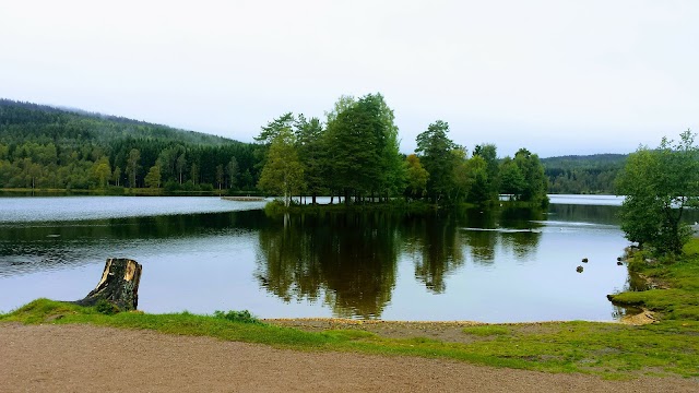 Sognsvann