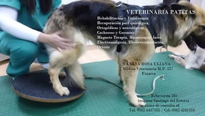 Photos of Veterinaria Patitas