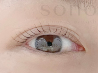 sono eyebrow&eyelash