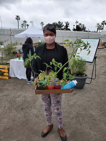 Sowing Seeds of Change by null