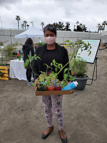 Sowing Seeds of Change by null