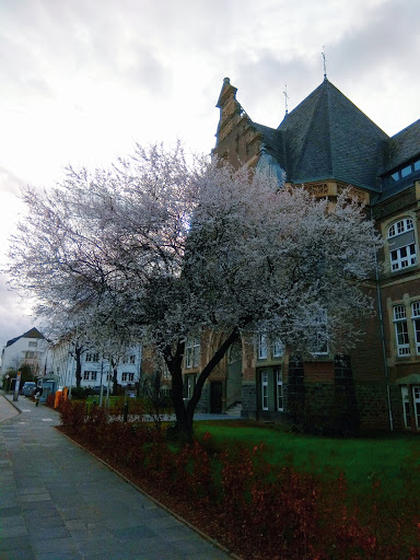 Paul-Gerhardt-Schule Evangelische Grundschule - Thumbnail
