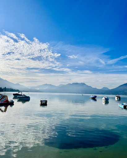 Youbuy Chasse Immobilière - Annecy - Thumbnail