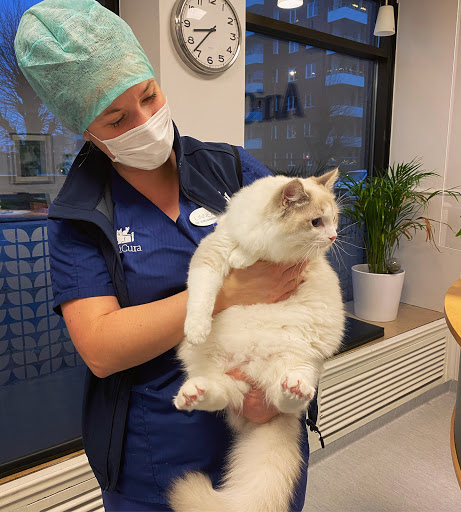 Erikslust Veterinärklinik - Thumbnail