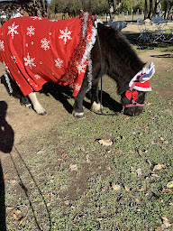 Photo n°24 de La ferme d'idefix à Bagnols-en-Forêt (Ferme à visiter)