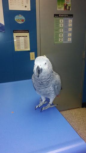 Market North Veterinary Hospital - Thumbnail