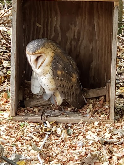 Woodlands Nature Station