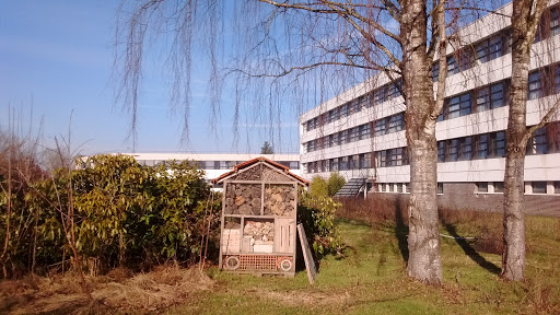 Lycée professionnel Gilbert Martin - Thumbnail