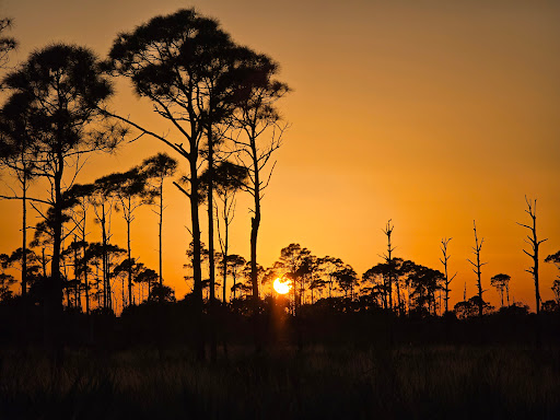 Savannas Preserve State Park Environmental Education Center - Thumbnail