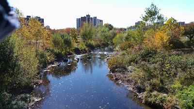 Mill River Park Collaborative