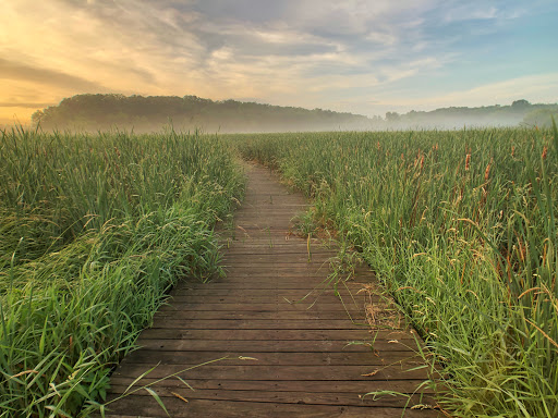 Freier Farm - Visual