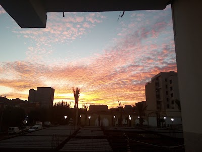 Photos of حديقة الأمير