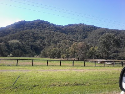 Photos of Country Motor Inn Singleton