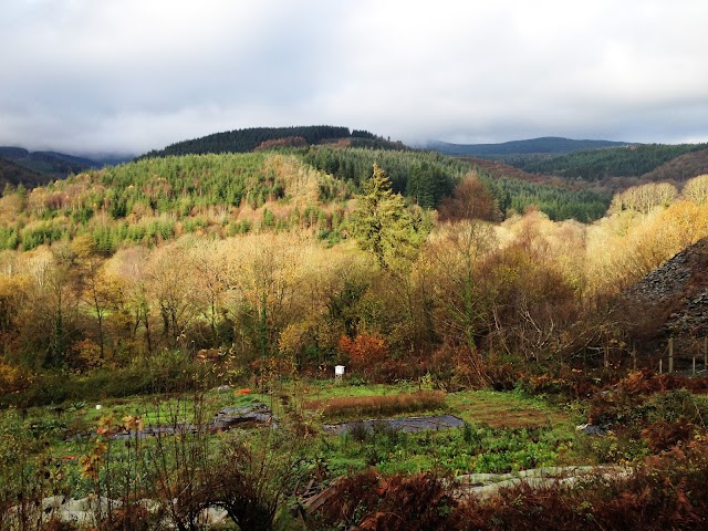 Centre for Alternative Technology