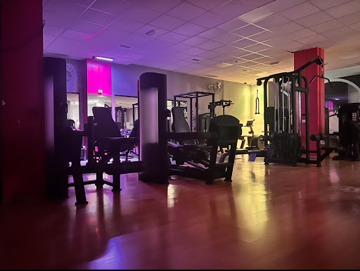 Lady’s Gym - Thumbnail