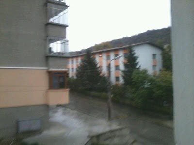 school